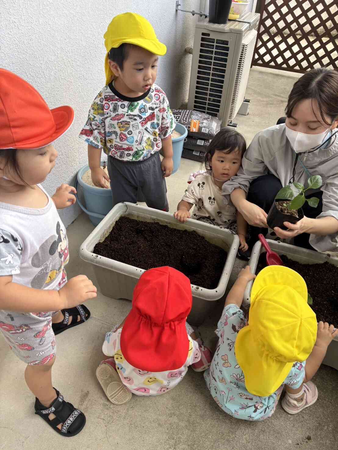 苗植え｜ニチイキッズコザ高通り保育園｜ニチイキッズ